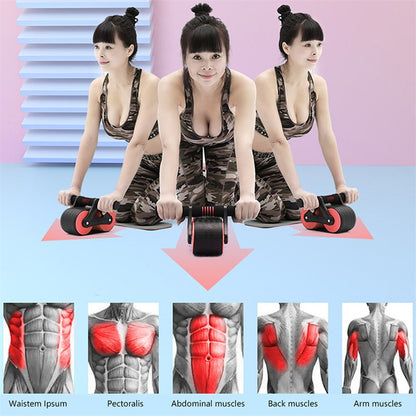 Double Wheel Abdominal Exerciser Rebound